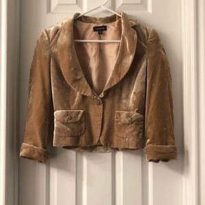Velvet Jacket/blazer